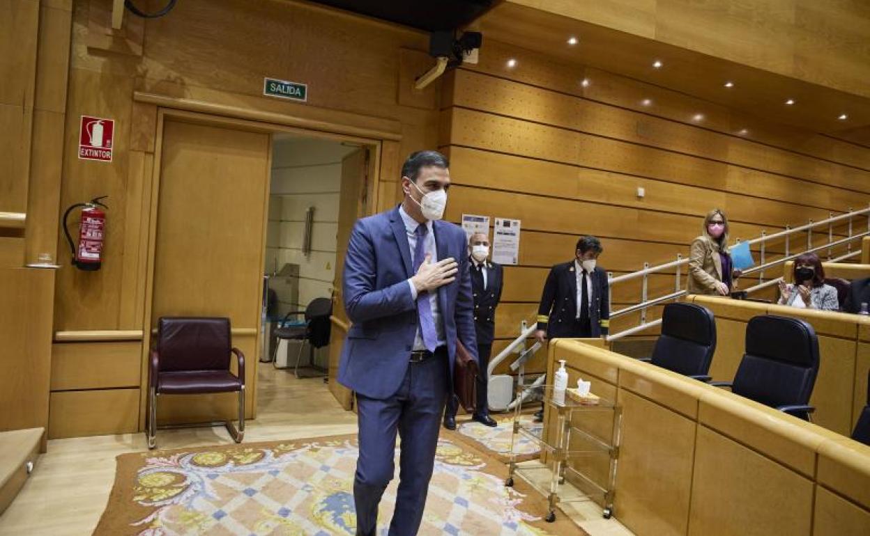 Pedro Sánchez entrnado en el Senado. 