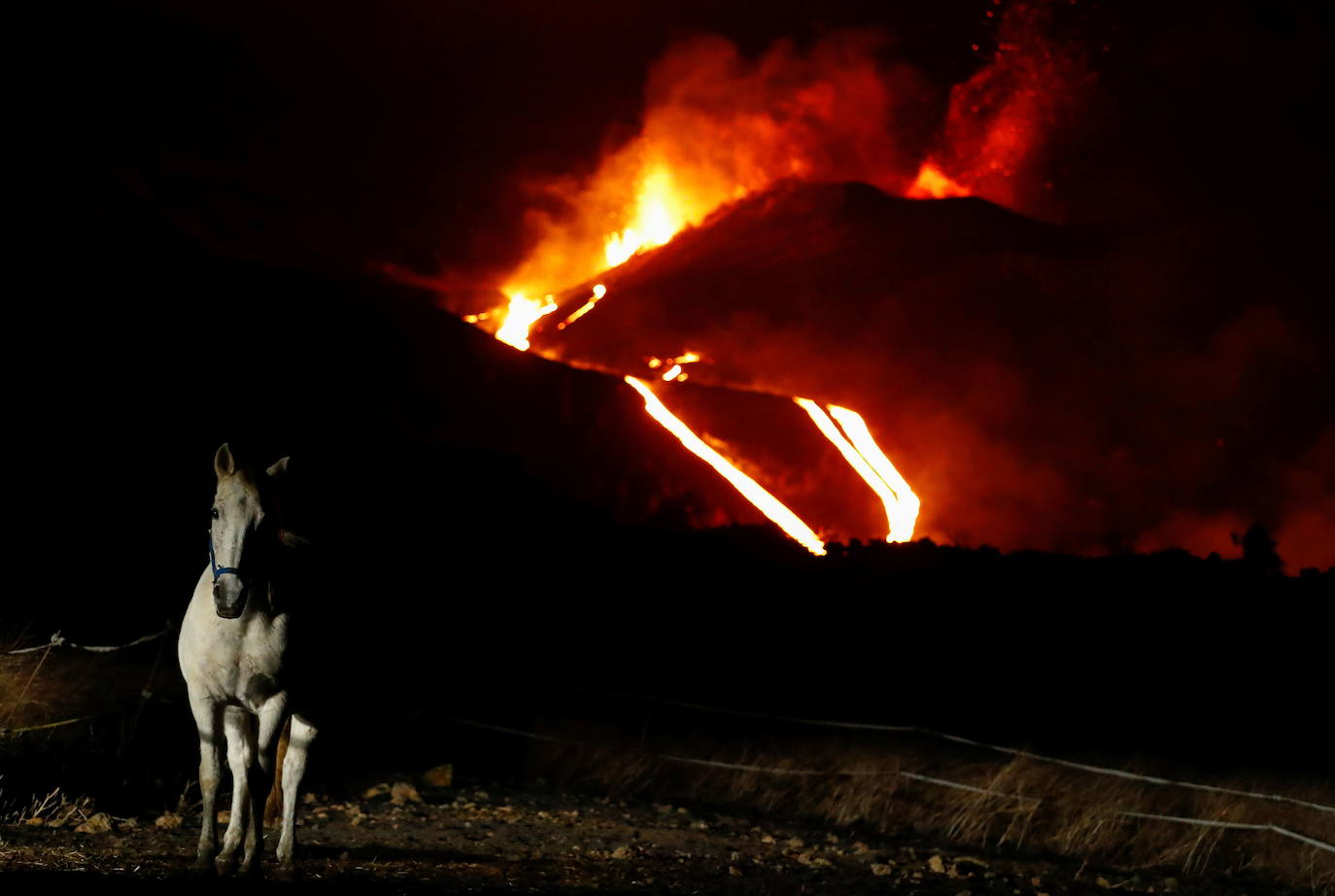 Fotos: Volcán de La Palma: fin a 85 días de destrucción