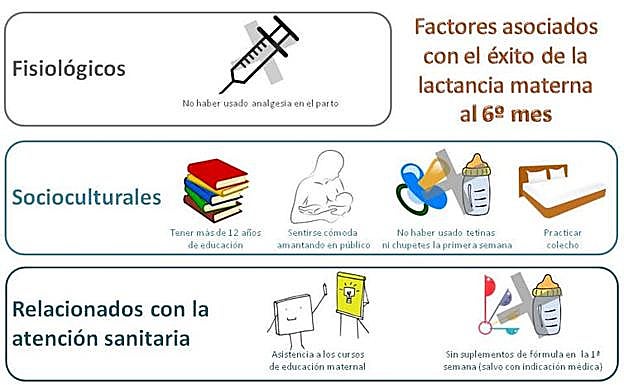 Figura 2: Factores fisiológicos, socioculturales y relacionados con la atención sanitaria que se encuentran asociados con el éxito de la lactancia materna al sexto mes.