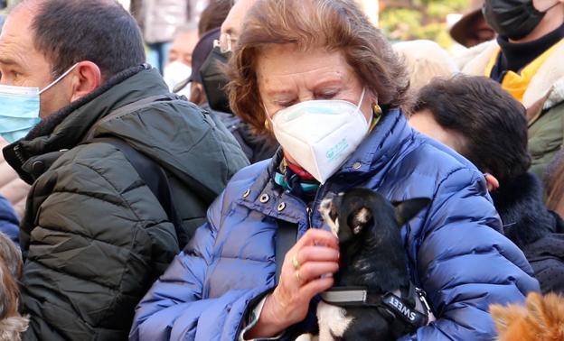 Galería. Decenas de animales se dan cita en San Marcelo para recibir su bendición.