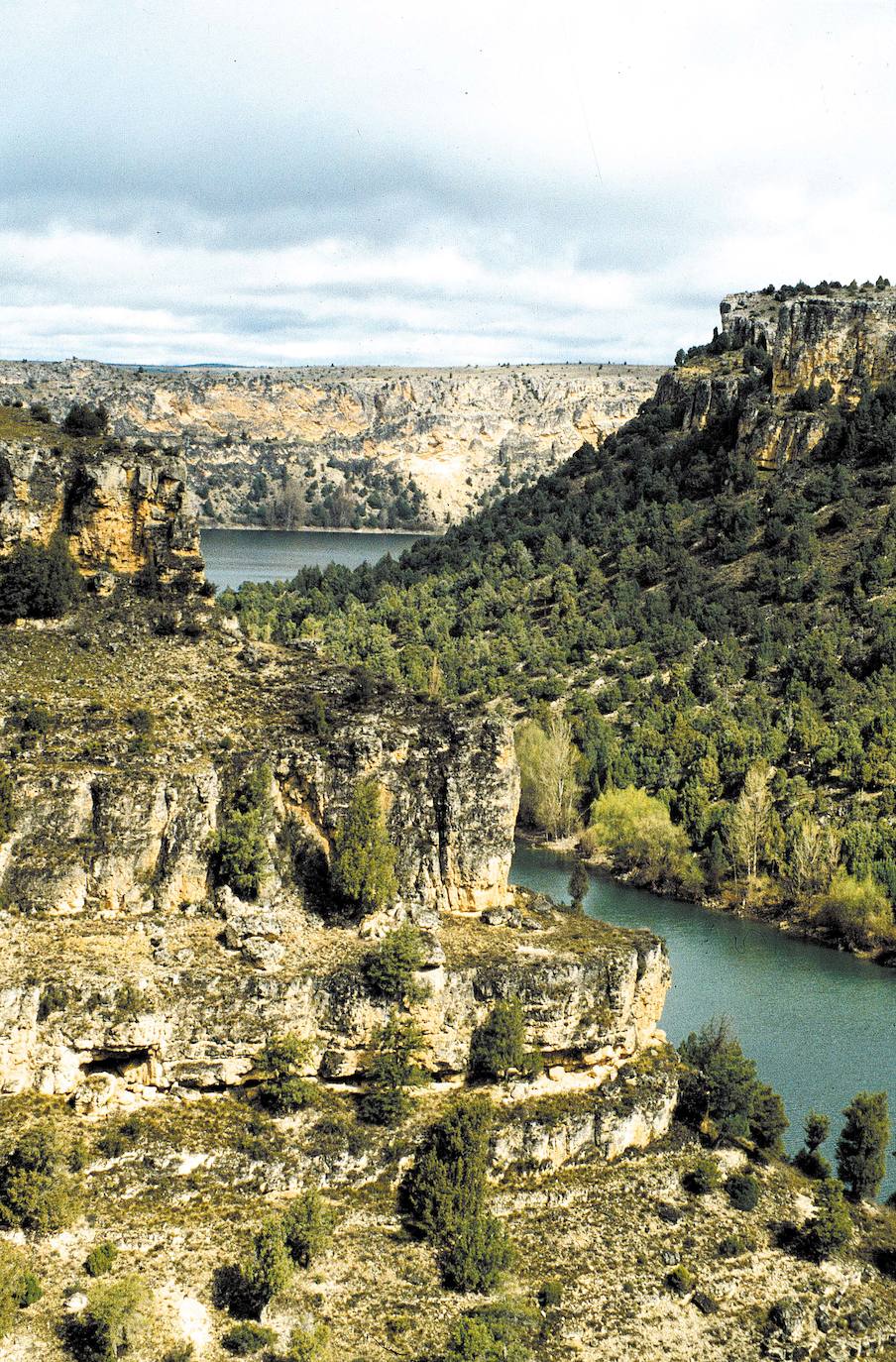 Hoces del río Duratón (Segovia)