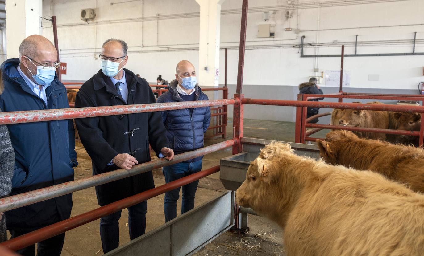 El candidato a la Presidencia de la Junta de Castilla y León, Francisco Igea y el cabeza de lista de Salamanca, Luis Fuentes, visitan la lonja de ganado de Salamanca.