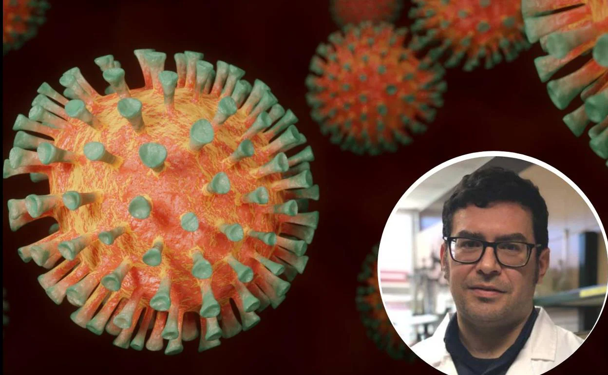 El material es eficaz contra el virus de la covid-19.