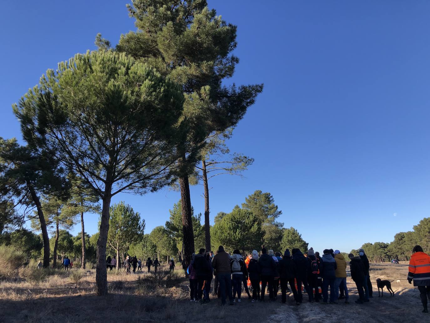 Amplio dispositivo para encontrar a la joven Esther López, desaparecida en Traspinedo el pasado 12 de enero.