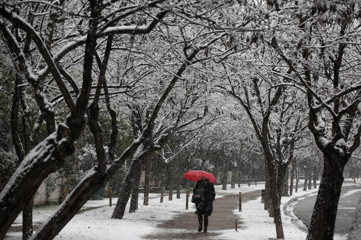 Fotos: La Acrópolis de Atenas, bajo la nieve