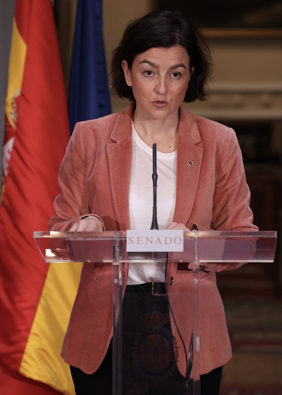 El coordinador territorial de Castilla y León en la Cámara Alta, el senador Francisco Díaz, comparece con la portavoz del Grupo Socialista en el Senado, Eva Granados.