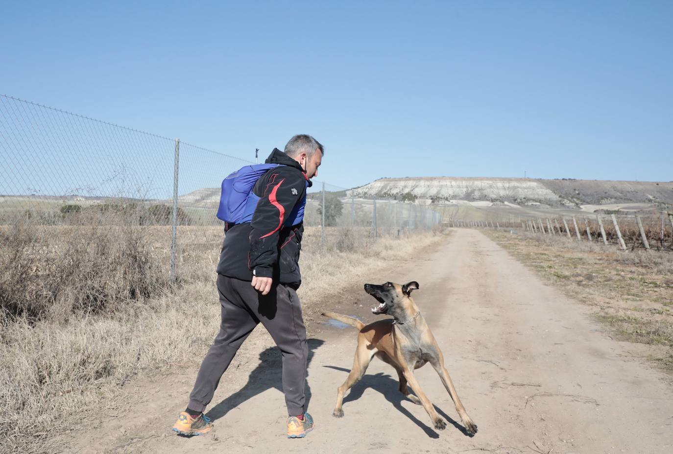 De Posada de Valdeón a Traspinedo: David y Luna, su pastor belga, se unen a la búsqueda. El leonés David González y su perra Luna colaboran voluntariamente en las labores de búsqueda de Esther López gracias al potente adiestramiento del can. 