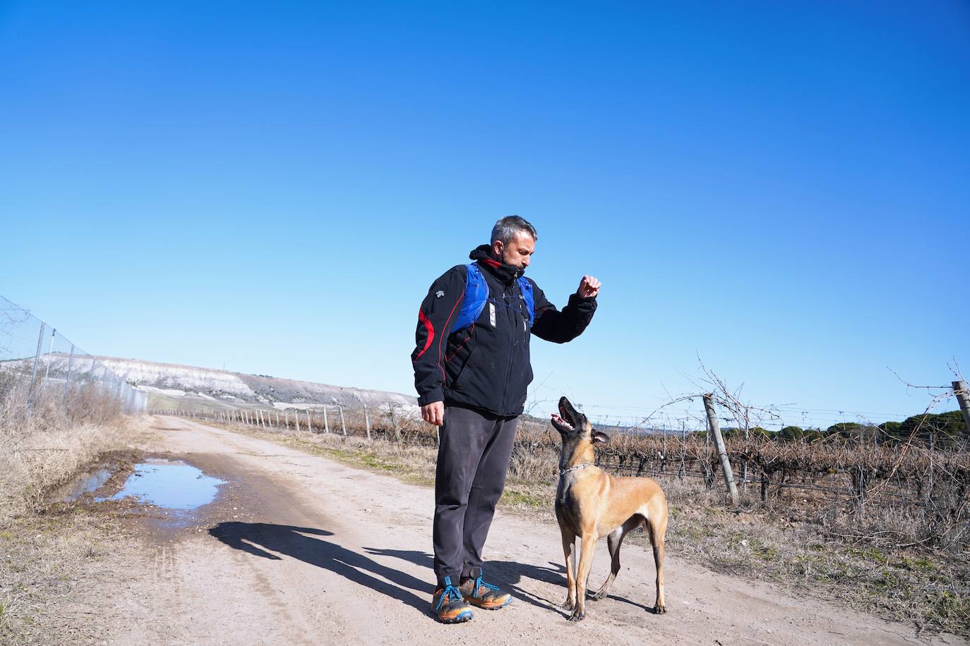 De Posada de Valdeón a Traspinedo: David y Luna, su pastor belga, se unen a la búsqueda. El leonés David González y su perra Luna colaboran voluntariamente en las labores de búsqueda de Esther López gracias al potente adiestramiento del can. 