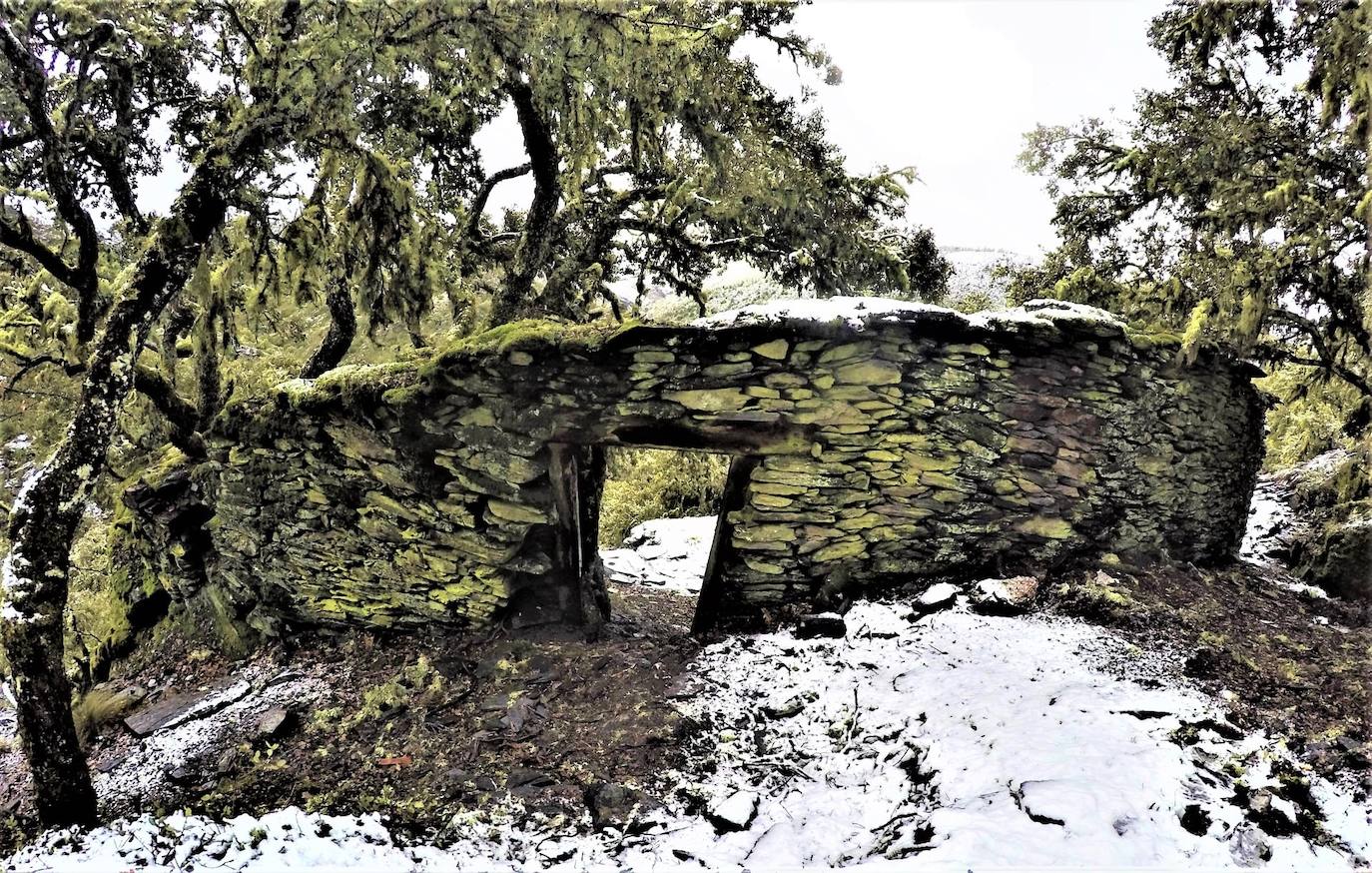 Conjunto de 17 cortines para proteger las colmenas de los ataques de osos hallados en la localidad berciana de Fonfría.