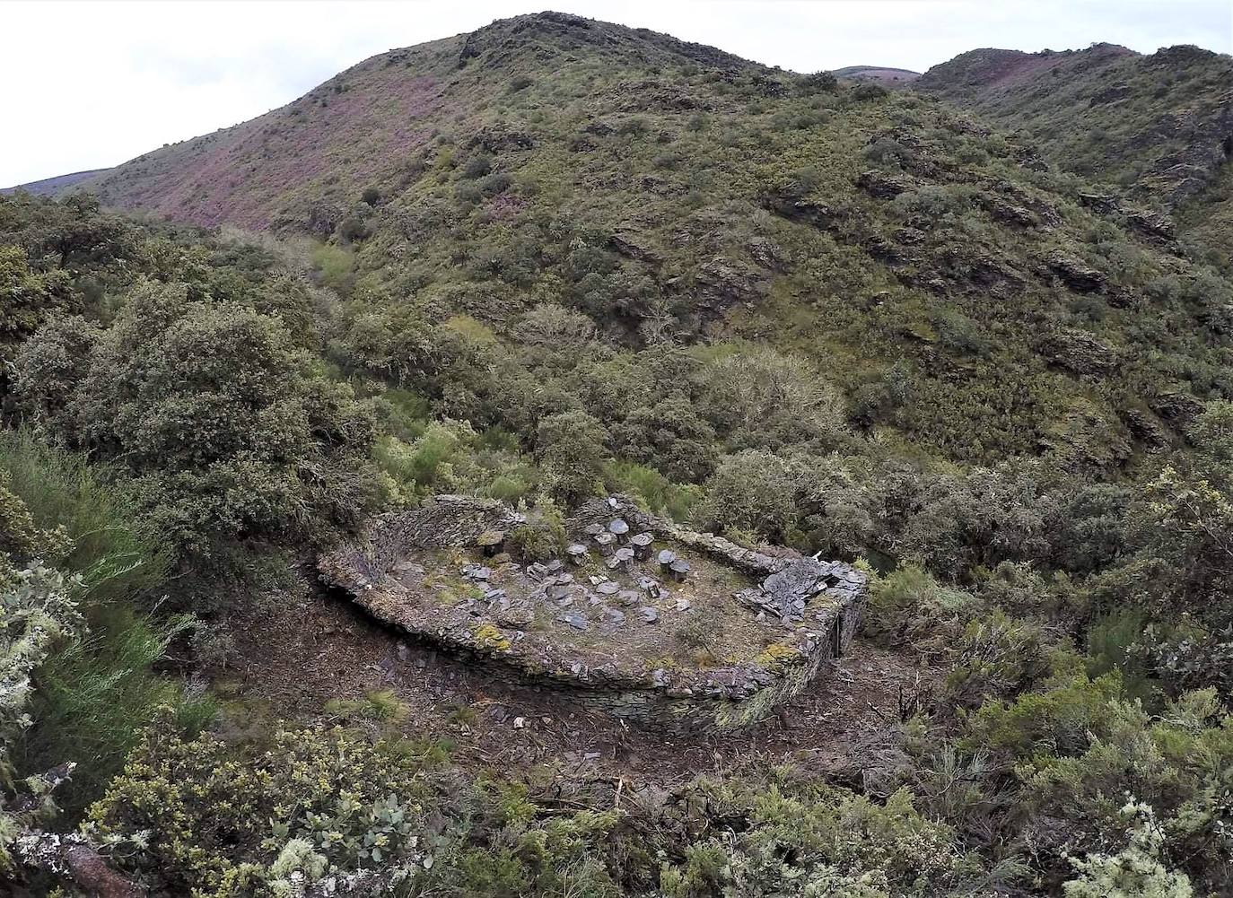 Conjunto de 17 cortines para proteger las colmenas de los ataques de osos hallados en la localidad berciana de Fonfría.