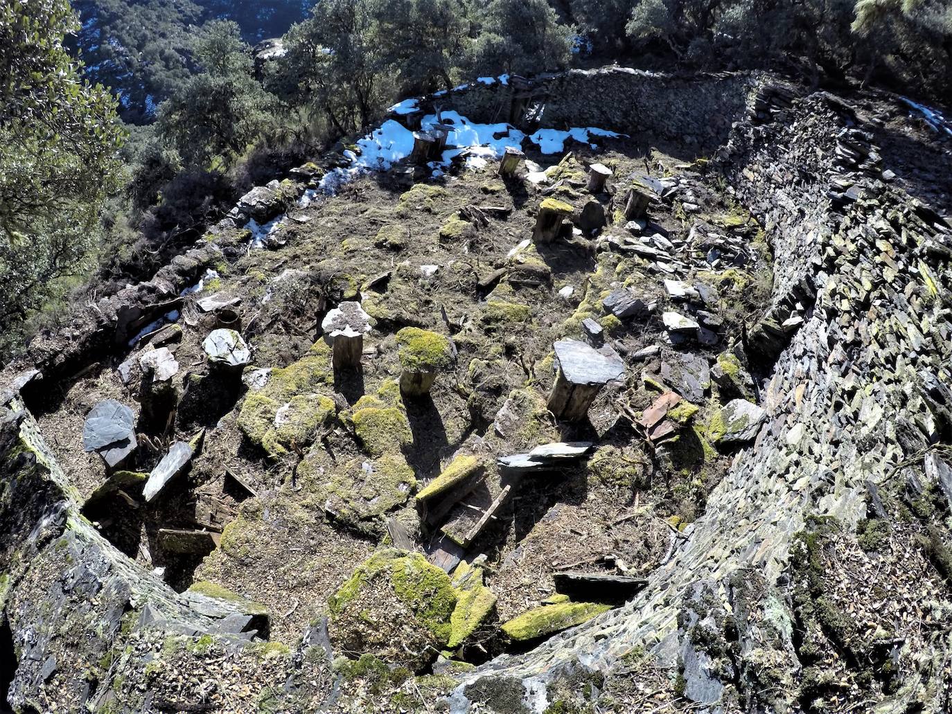 Conjunto de 17 cortines para proteger las colmenas de los ataques de osos hallados en la localidad berciana de Fonfría.