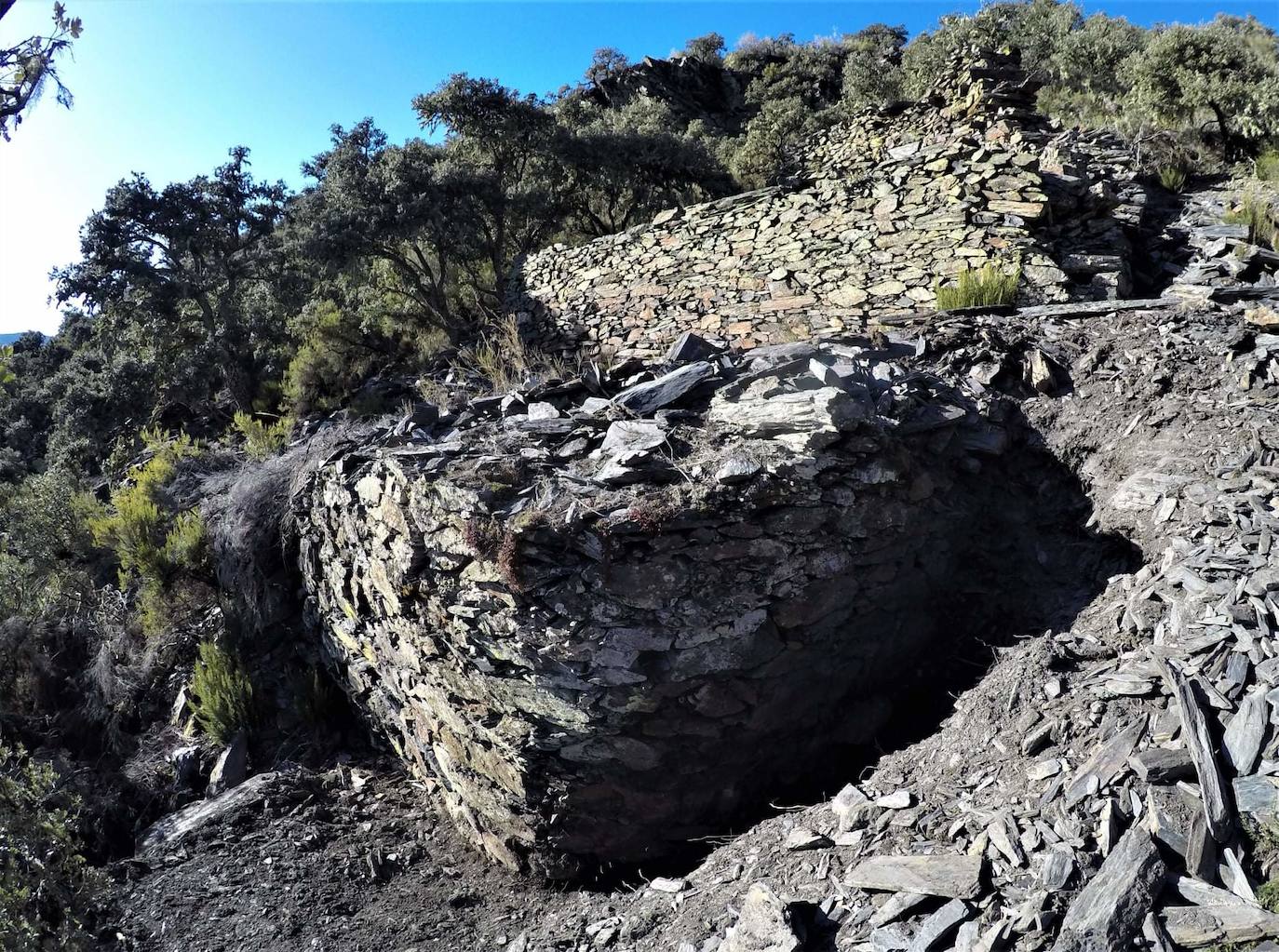 Conjunto de 17 cortines para proteger las colmenas de los ataques de osos hallados en la localidad berciana de Fonfría.