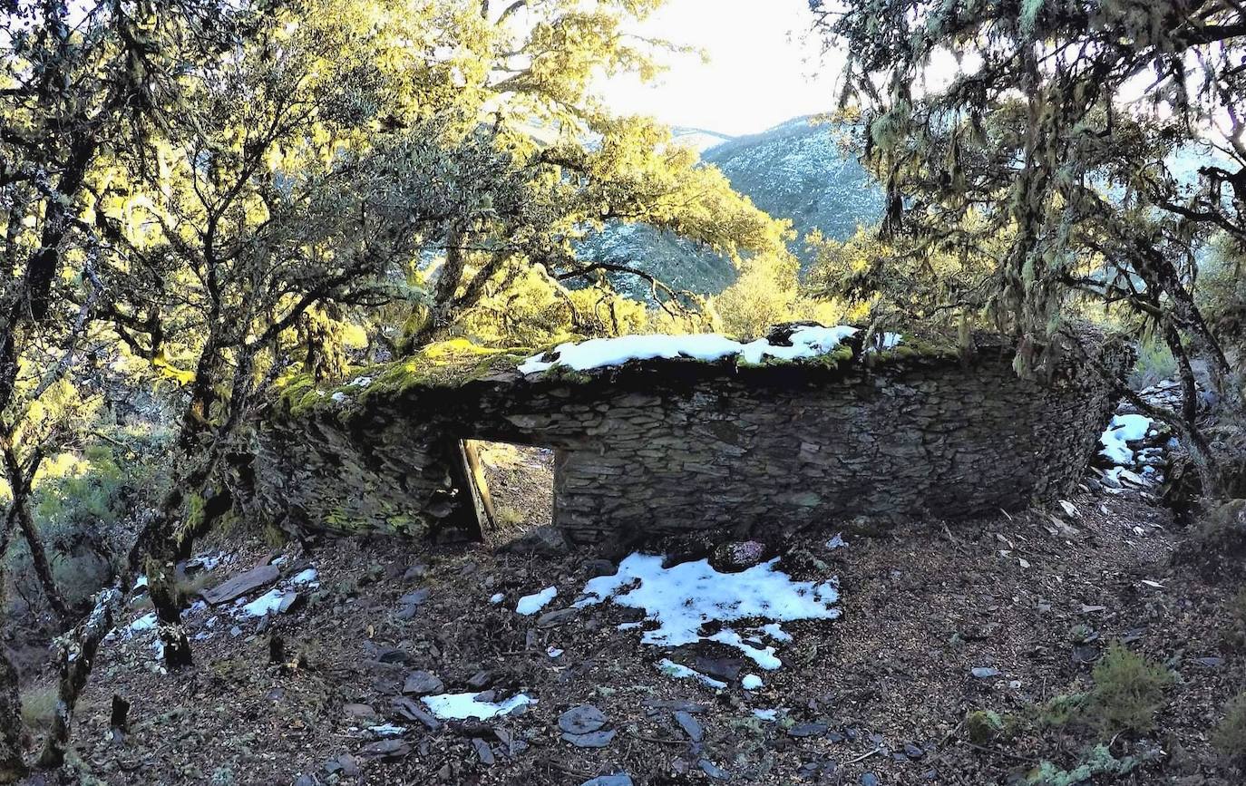 Conjunto de 17 cortines para proteger las colmenas de los ataques de osos hallados en la localidad berciana de Fonfría.
