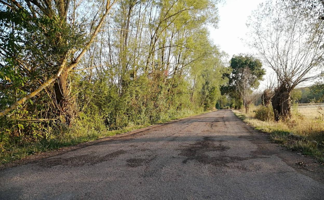 Tramo de la LE-5638 entre Modino y Pesquera.