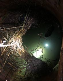 Imagen secundaria 2 - «Me he caído a un pozo, tengo el agua al cuello y no sé dónde estoy»