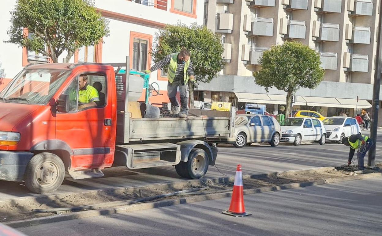 Las obras para retirar los setos de la avenida Conde Sagasta avanzan con rapidez y estarán terminadas en los próximos días.