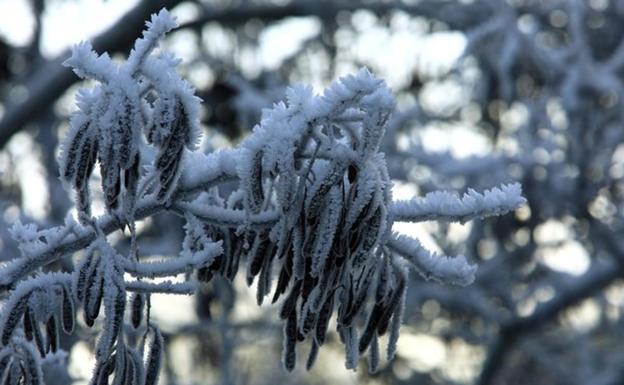 La nieve vuelve a León, en zonas como Villablino o Posada de Valdeón