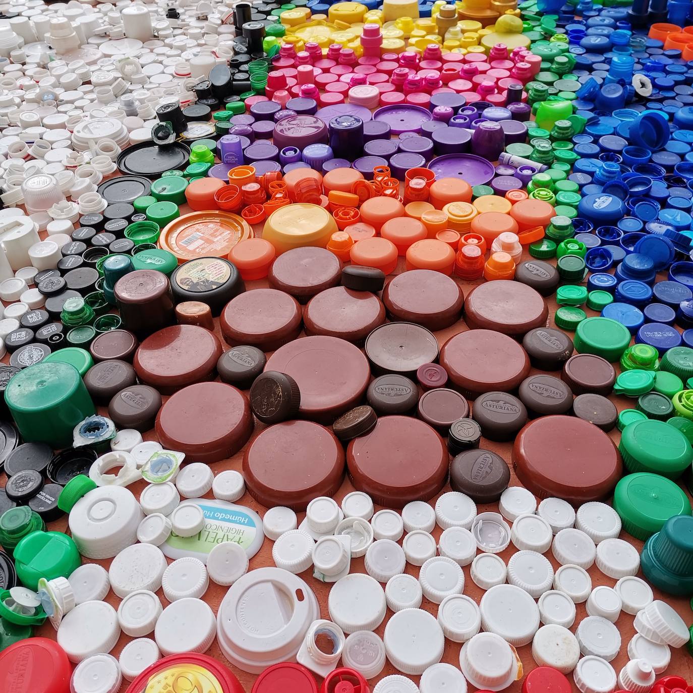 Proyecto artístico de reciclaje en Maristas San José.