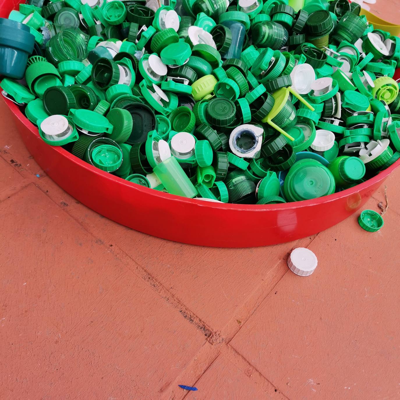 Proyecto artístico de reciclaje en Maristas San José.