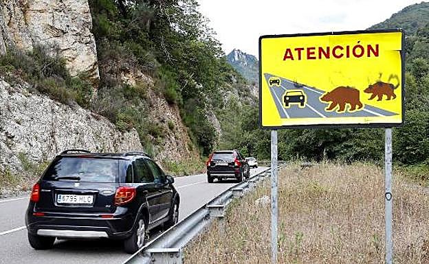 Señal de aviso de riesgo de animales en una carretera secundaria 