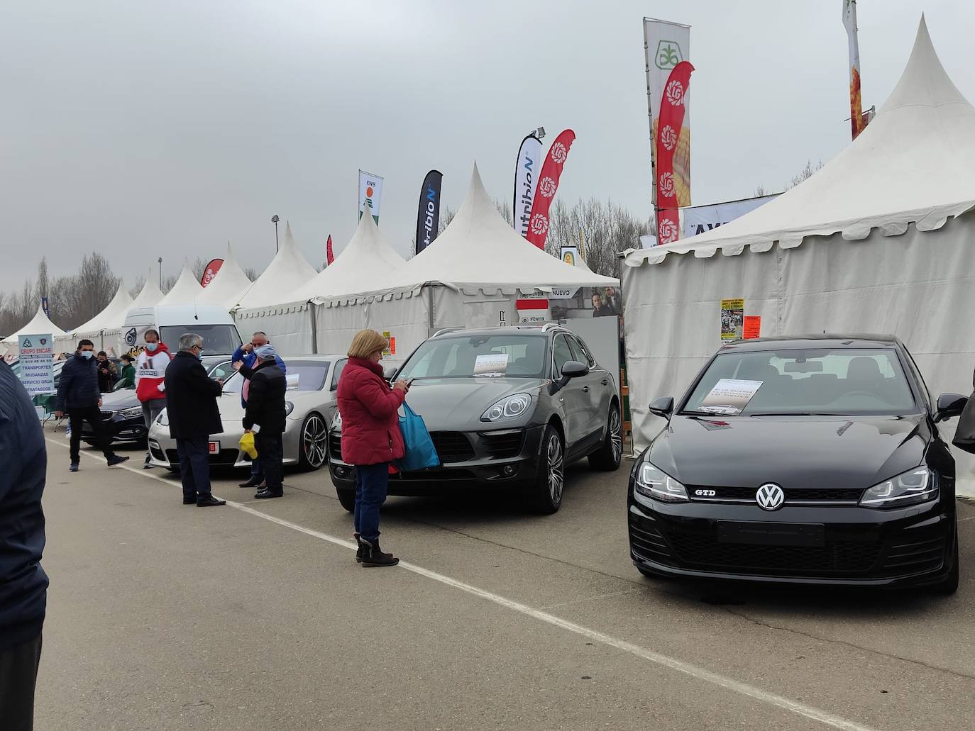 Valencia de Don Juan inaugura su tradicional Feria de Febrero. En su edición 101, este evento cuenta con más de 130 expositores divididos en dos espacios, uno en el tradicional complejo La Isla en el que se ubica la maquinaria agrícola y servicios relacionados con el sector primario y la exposición de vehículos y, el segundo, la Plaza Mayor que acoge un gran carpa para albergar stands de alimentación así como de multiservicios. 