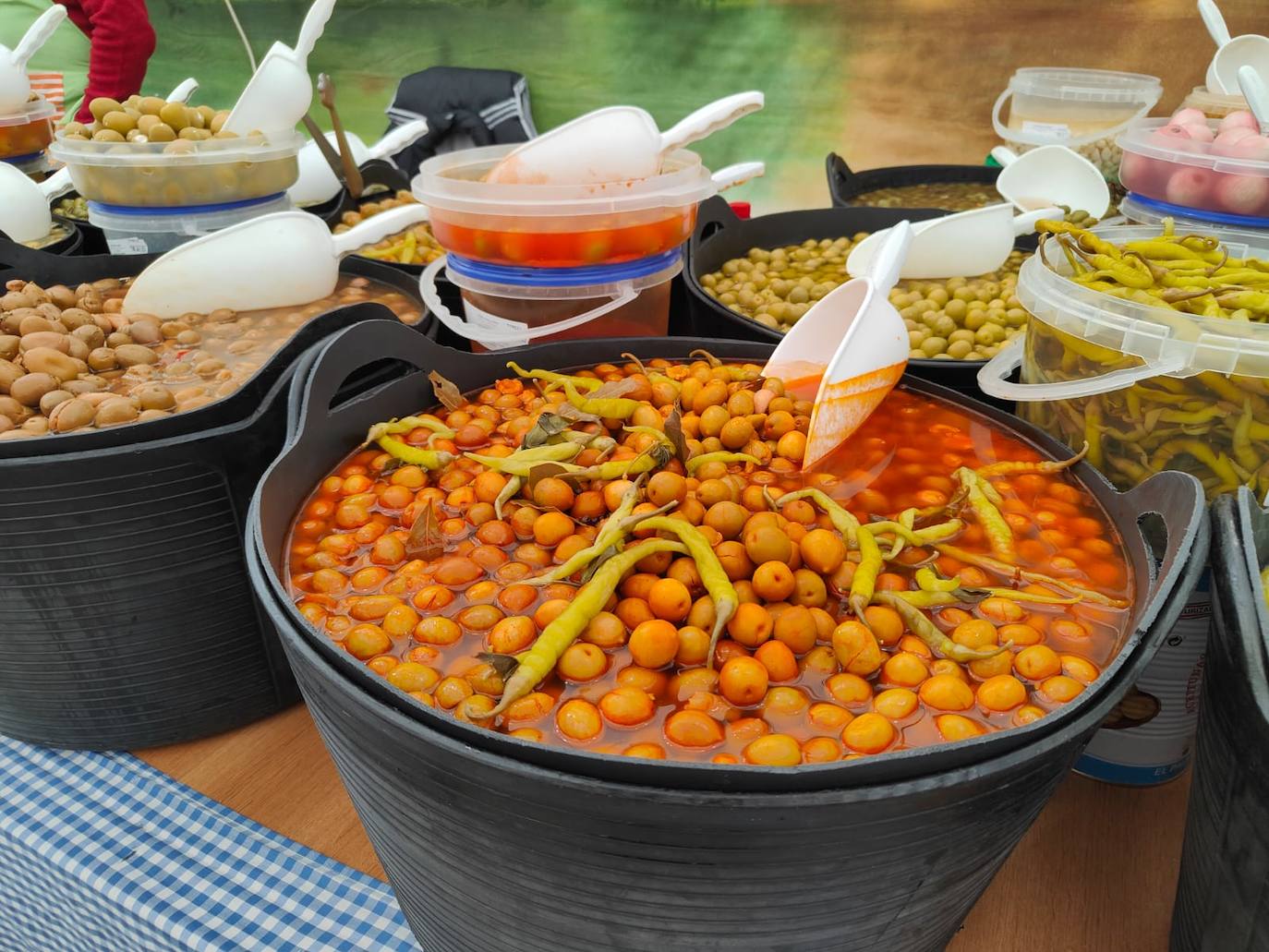 Valencia de Don Juan inaugura su tradicional Feria de Febrero. En su edición 101, este evento cuenta con más de 130 expositores divididos en dos espacios, uno en el tradicional complejo La Isla en el que se ubica la maquinaria agrícola y servicios relacionados con el sector primario y la exposición de vehículos y, el segundo, la Plaza Mayor que acoge un gran carpa para albergar stands de alimentación así como de multiservicios. 