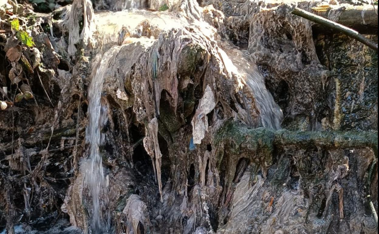 Vertidos fecales al río Burbia en Villafranca del Bierzo.