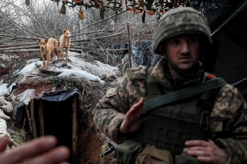 Dos perros custodian la entrada a las trincheras en la frontera de Donestk.