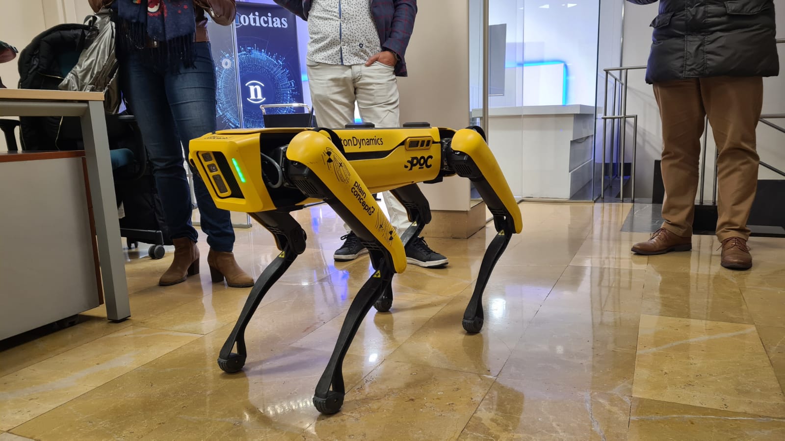 El viral cuadrúpedo, que sorprendió a todos en las calles de León hace unos meses, ha hecho parada en la redacción de este periódico digital.