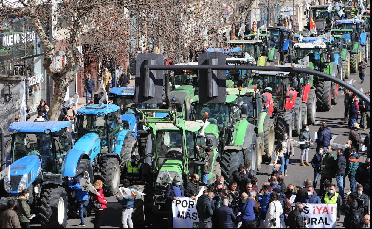 Los tractores hoy, en las calles de Zamora. 