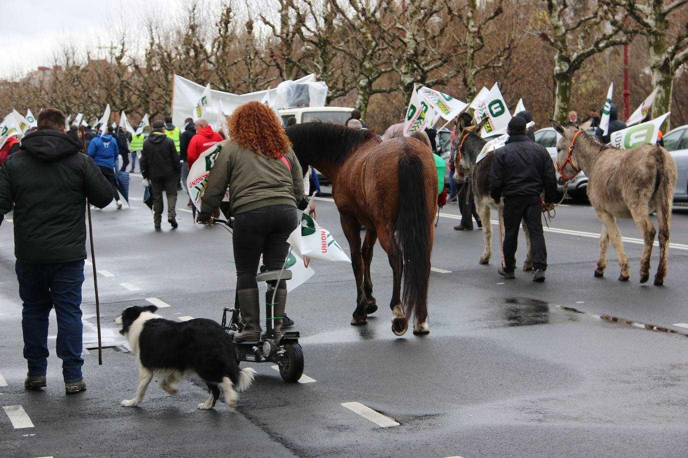 Manifestación de UCCL por las calles de la capital leonesa. 