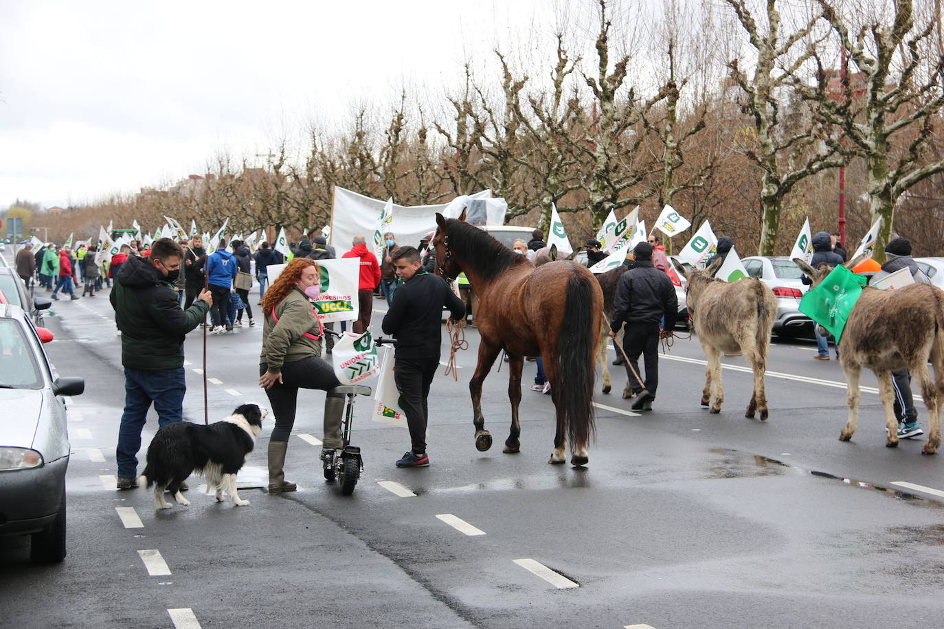 Manifestación de UCCL por las calles de la capital leonesa. 