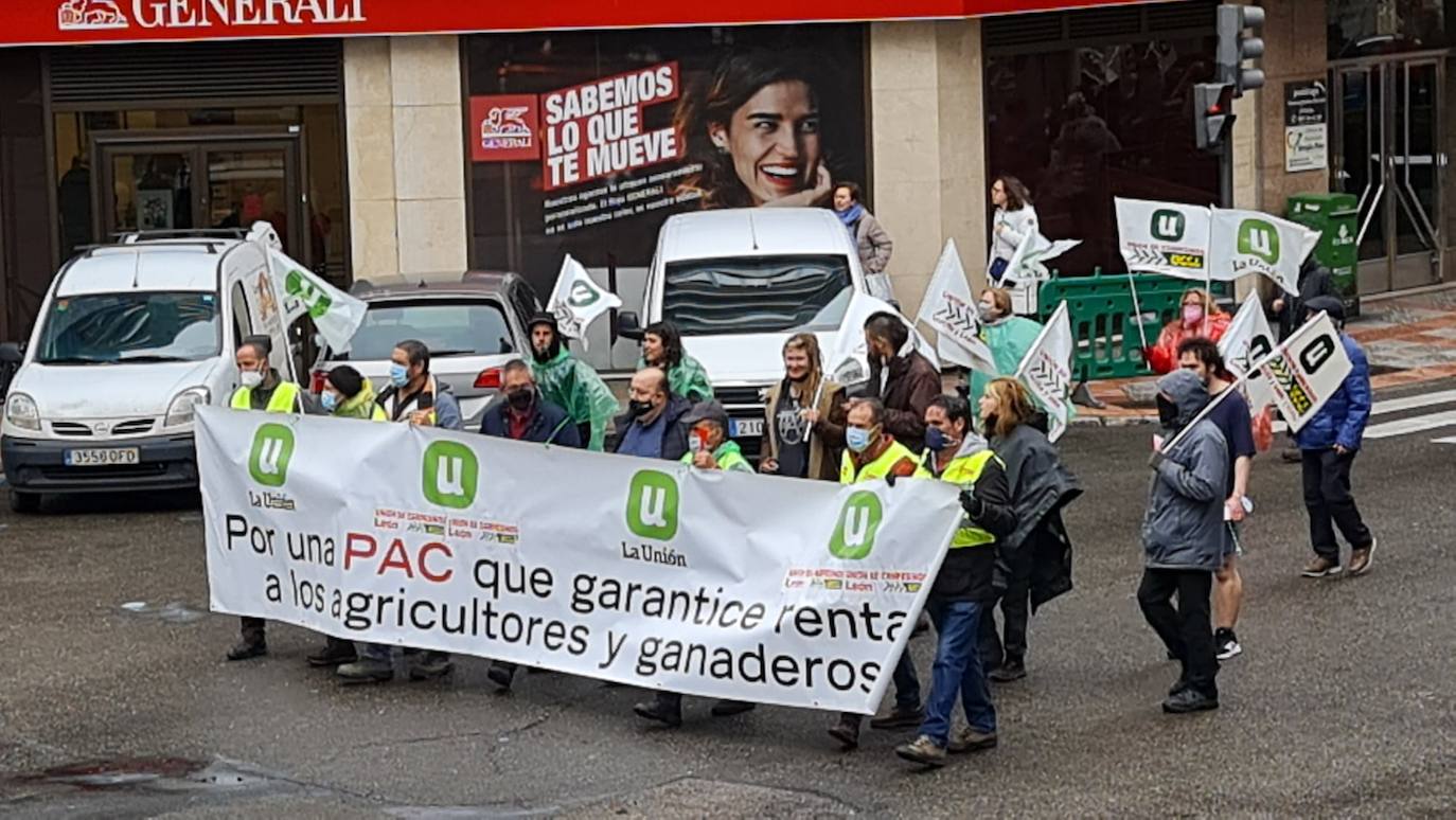 Manifestación de UCCL por las calles de la capital leonesa. 