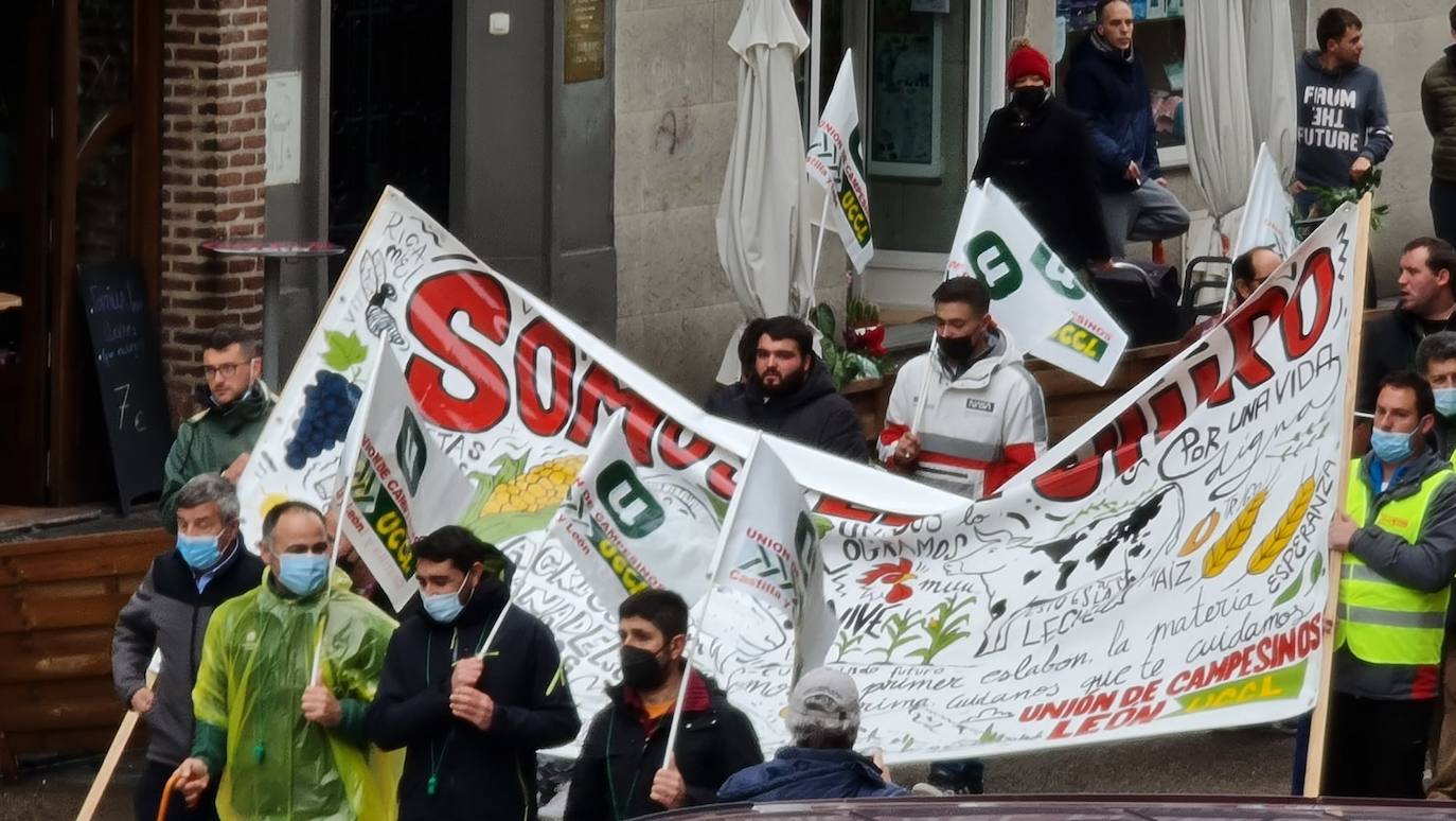 Manifestación de UCCL por las calles de la capital leonesa. 