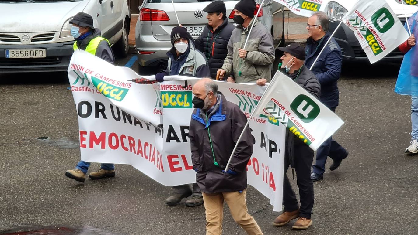 Manifestación de UCCL por las calles de la capital leonesa. 