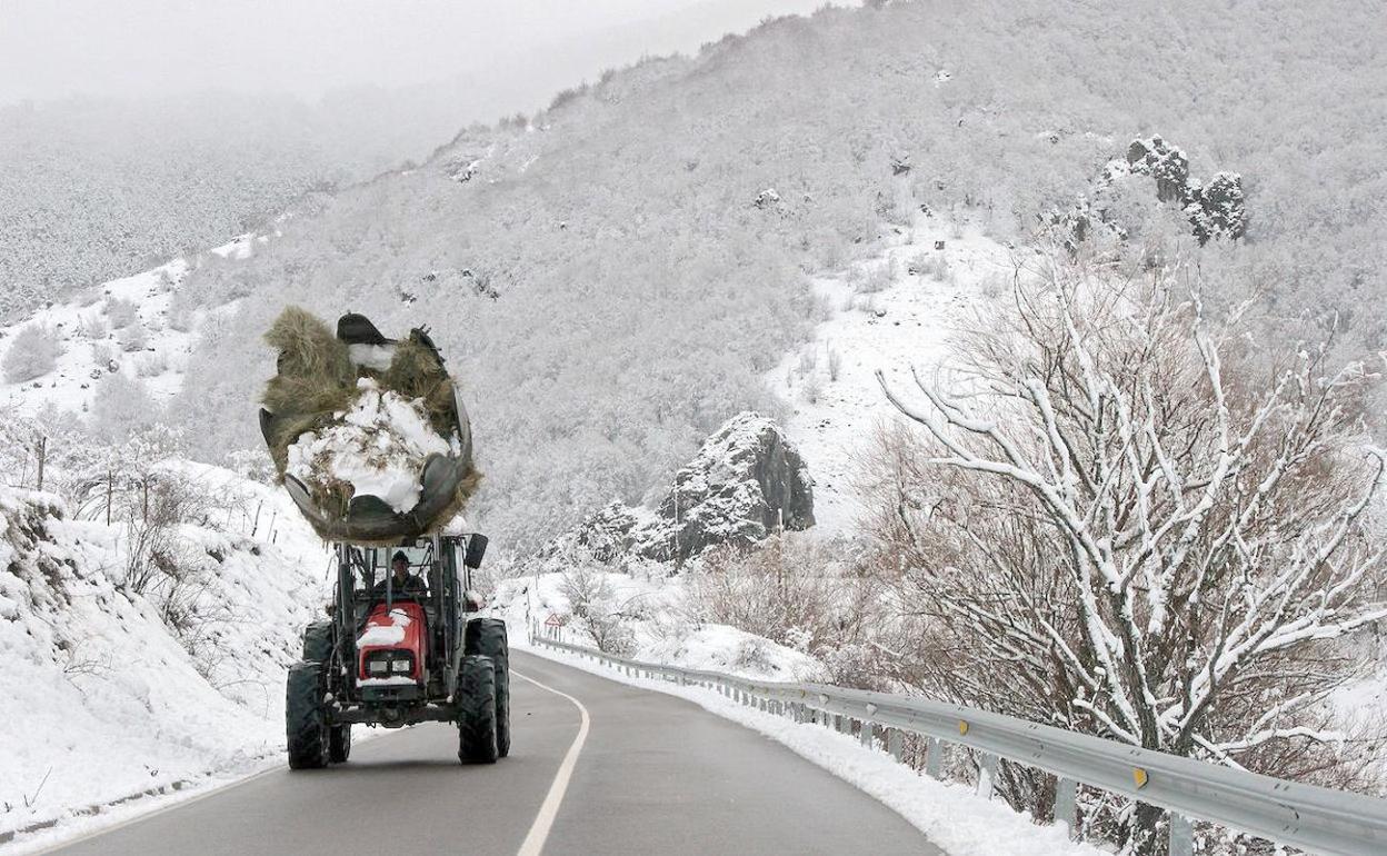 Imagen de un tractor moviendo una bala de paja en una zona de la montaña de León. 