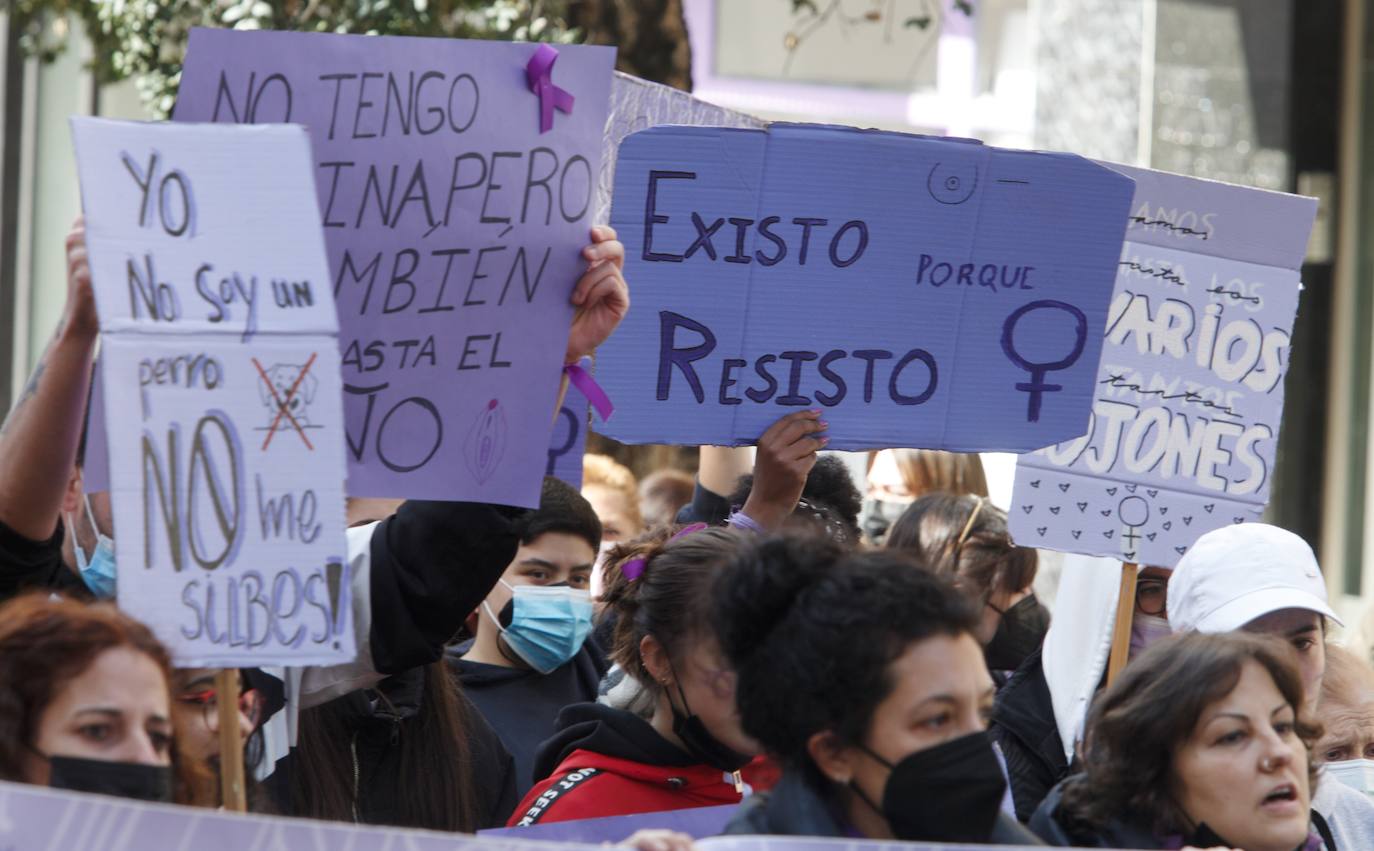 Manifestación de la Asociación de Mujeres Feministas Bercianas en Ponferrada. 