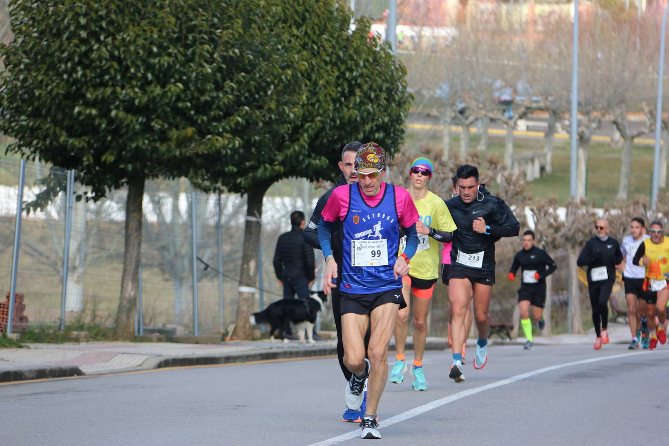 Ofrecemos una amplia galería con los corredores que participaron en esta marcha popular del alfoz de León.