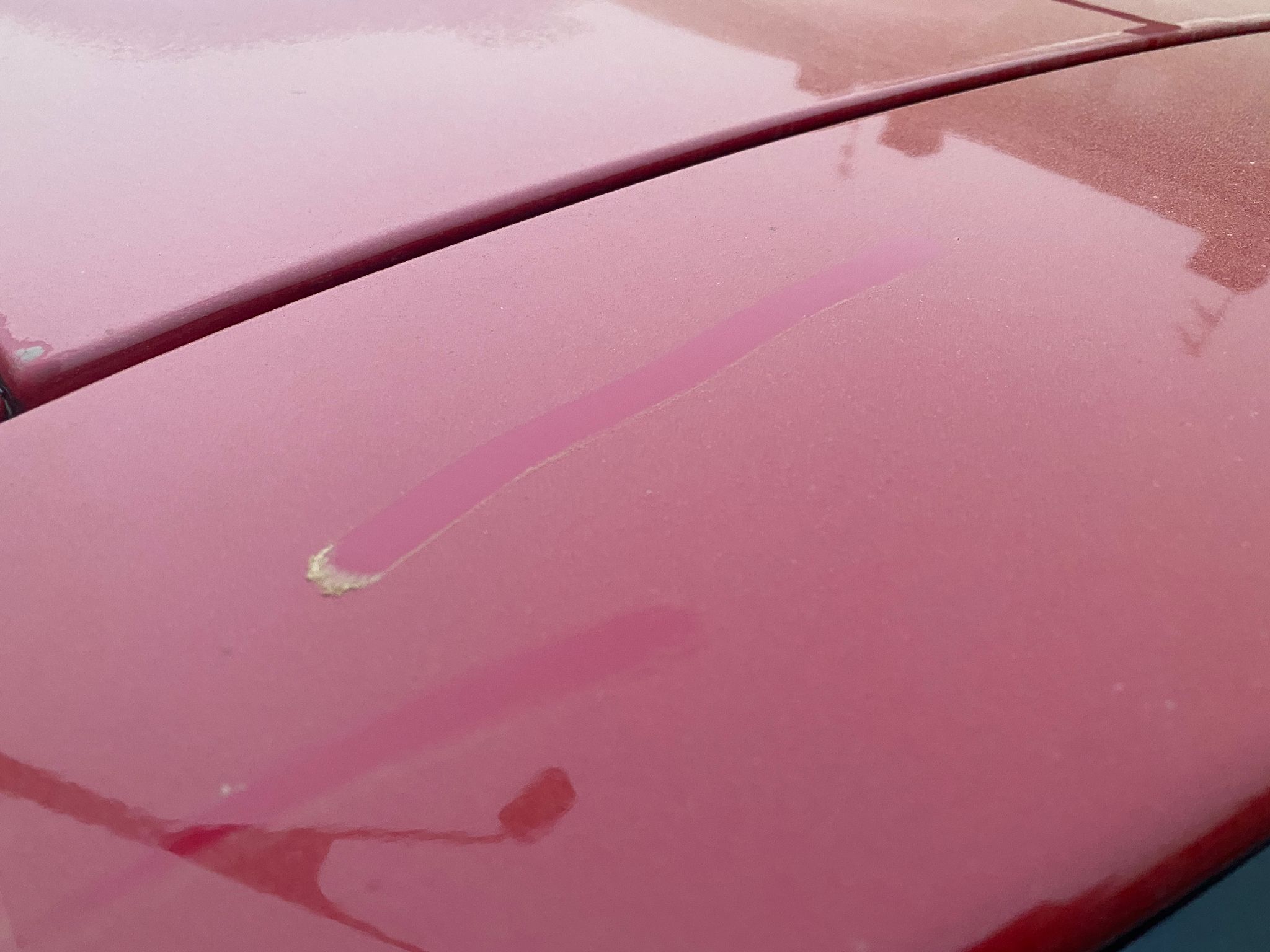 Los coches han amanecido cubiertos de arena rojiza en un fenómeno poco común en estas latitudes y que subirá la temperatura a los 20 grados.