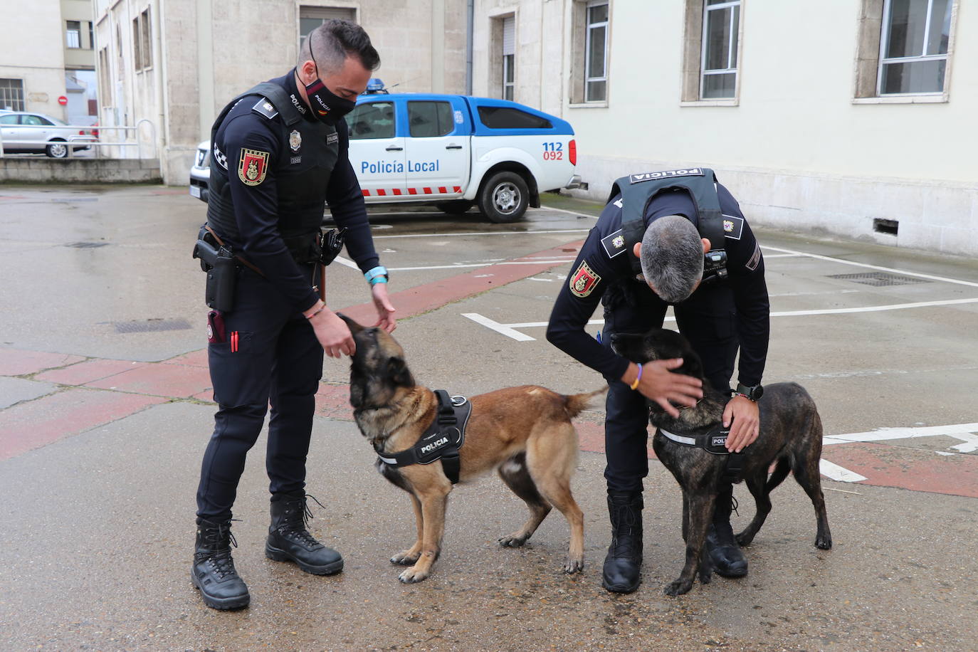 Los dos canes están integrados en la policía canina y acompañados por sus dos guías patrullan la ciudad.