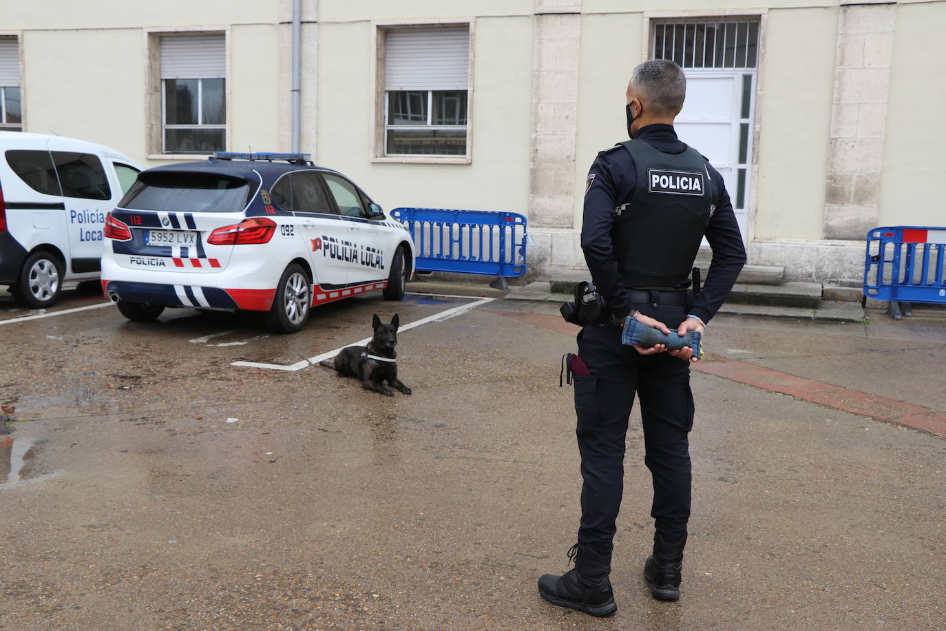 Los dos canes están integrados en la policía canina y acompañados por sus dos guías patrullan la ciudad.