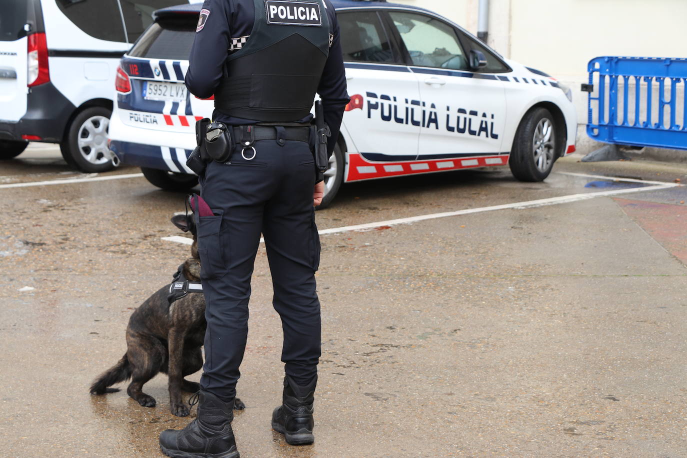 Los dos canes están integrados en la policía canina y acompañados por sus dos guías patrullan la ciudad.