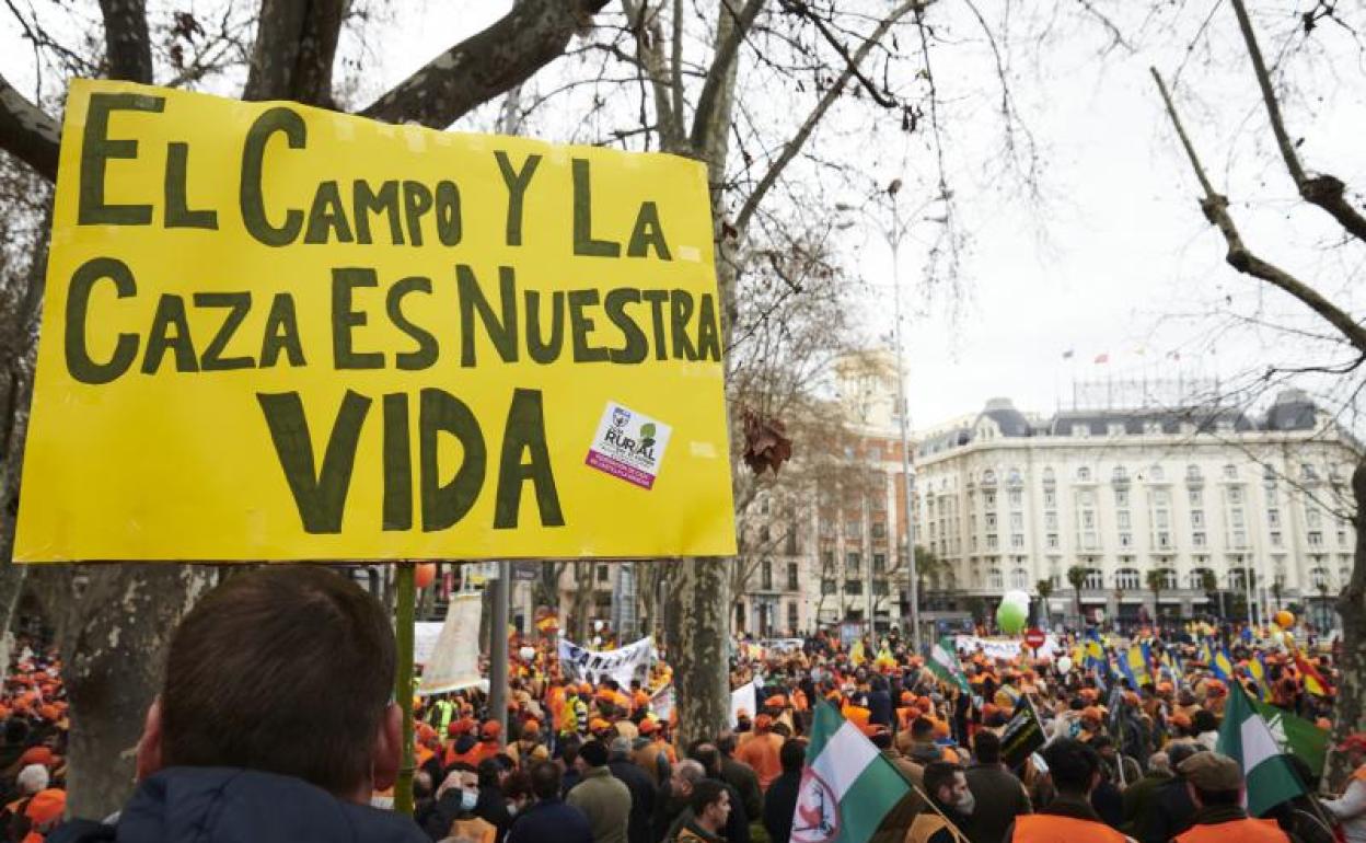 Manifestantes en Madrid.