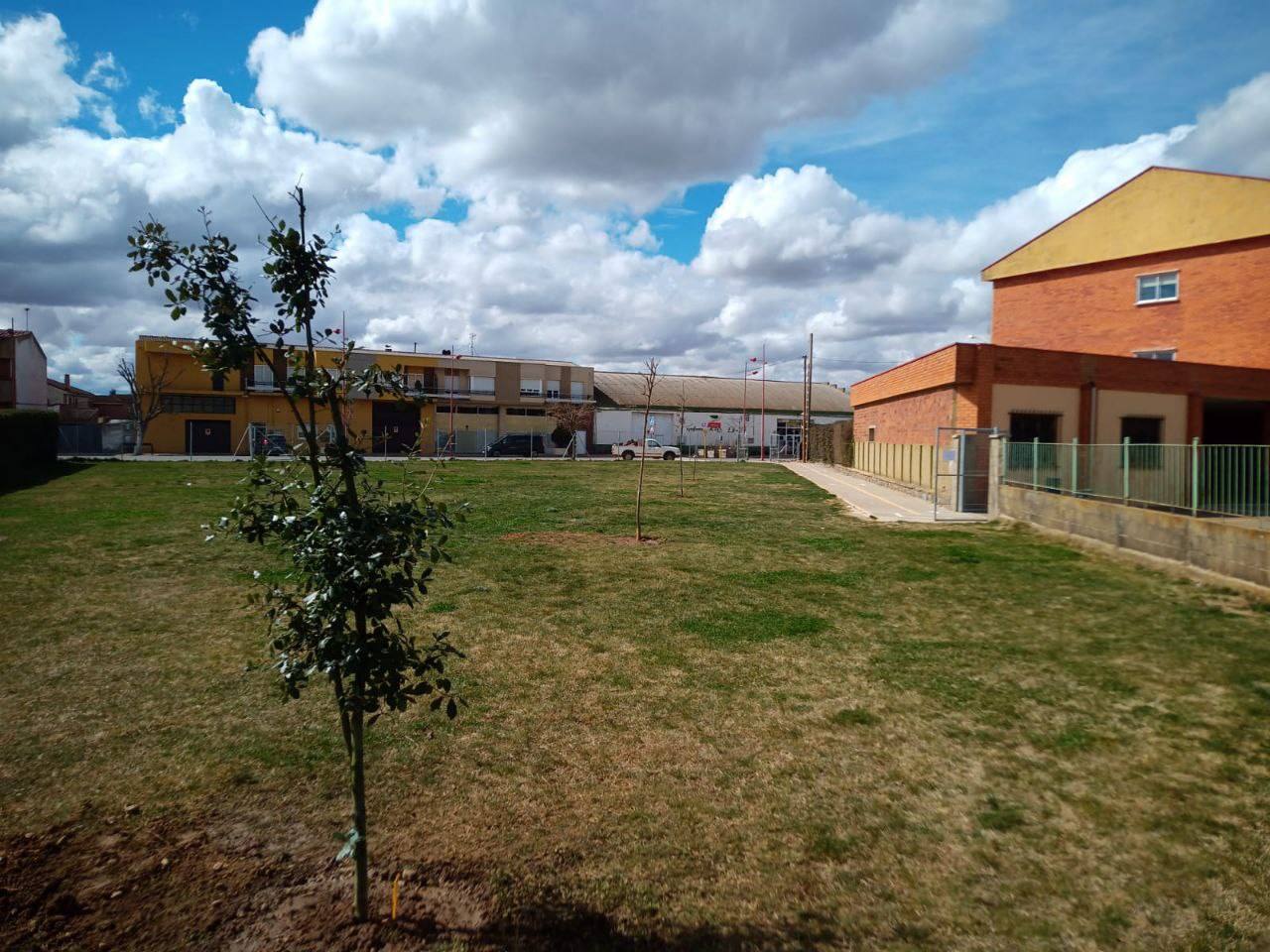 Fotos: Nuevos árboles crecen desde en Valencia de Don Juan