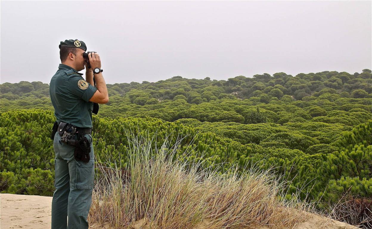 Un Guardia Civil, destinado a la protección de Doñana, vigila el parque natural. .