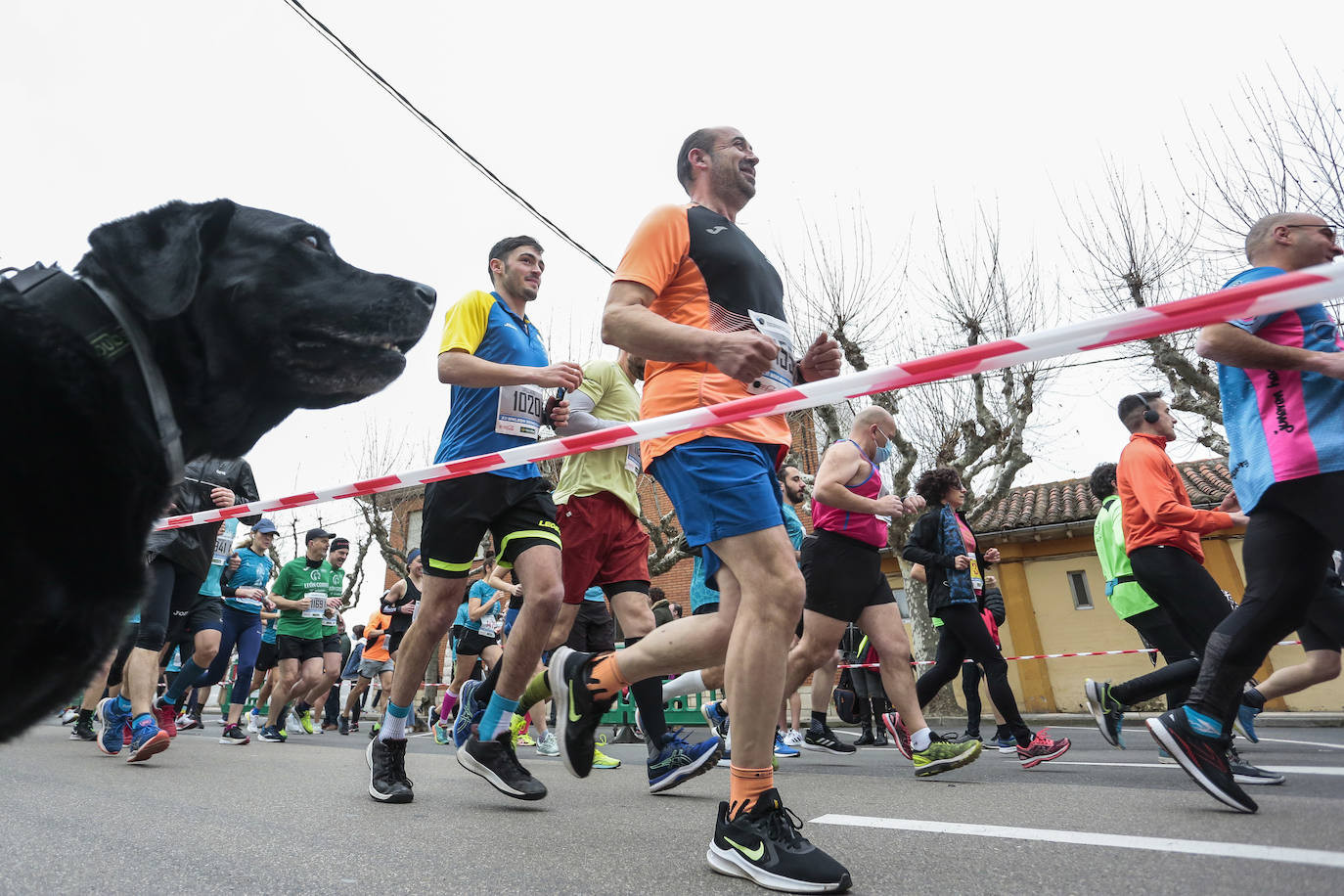 Celebración de la Media Maratón de León