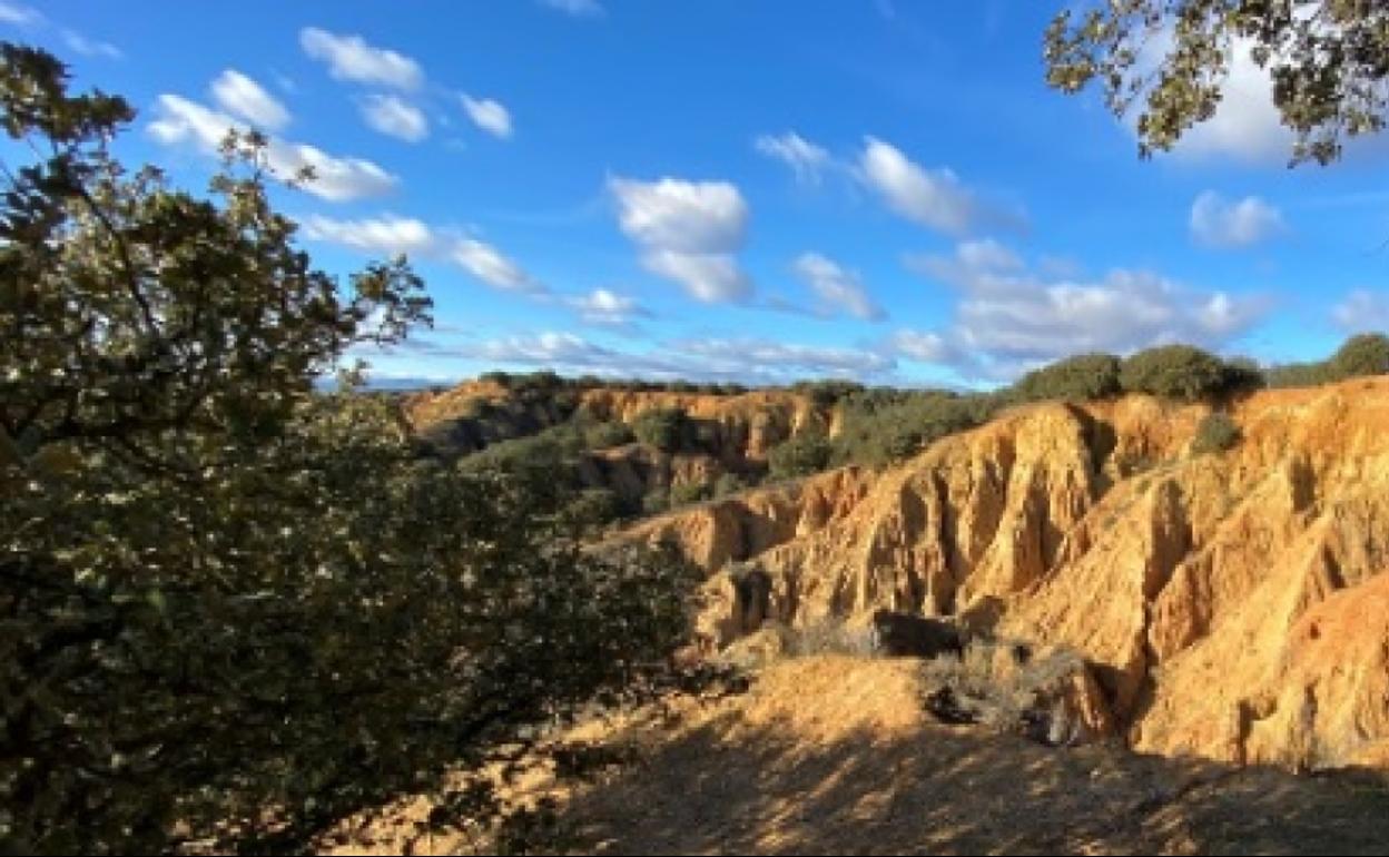 Las torcas de Barrientos serán las protagonistas del Geolodía.