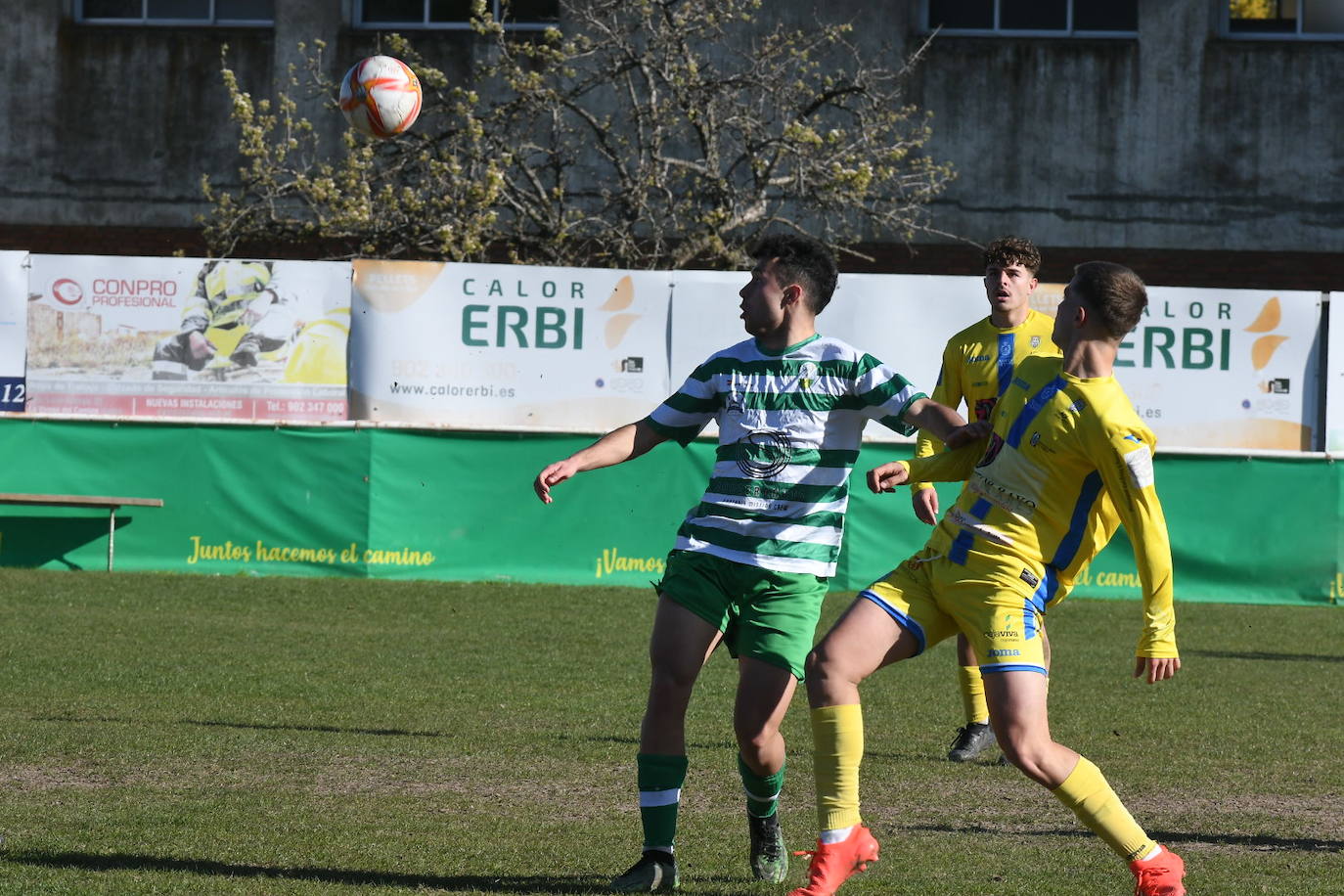 El conjunto virginiano supera por un ajustado 1-0 a uno de los candidatos al playoff