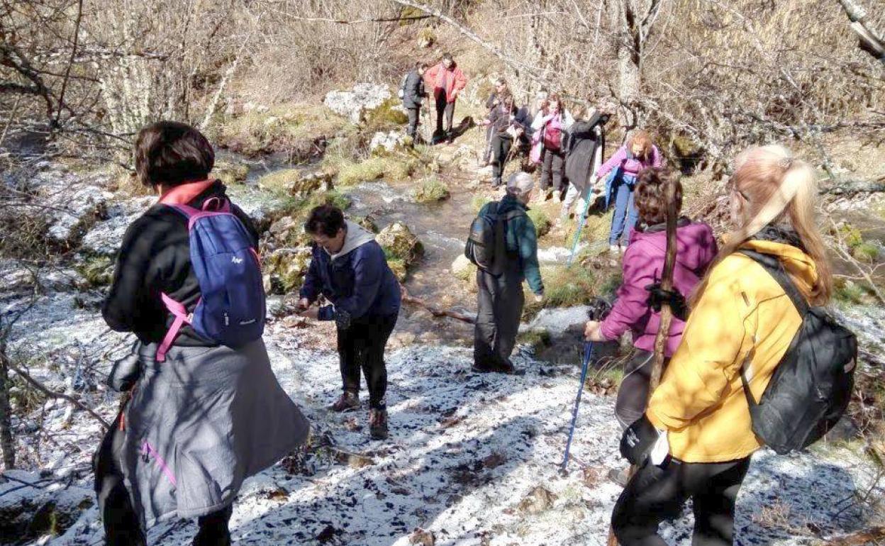 Imagen de archivo de una de las rutas realizadas. 