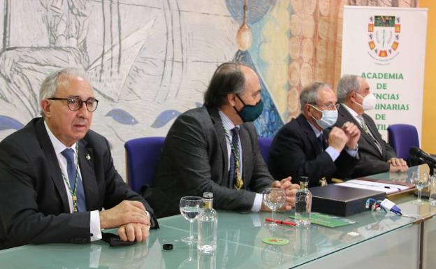 Galería. Mesa presidencial con los académicos.